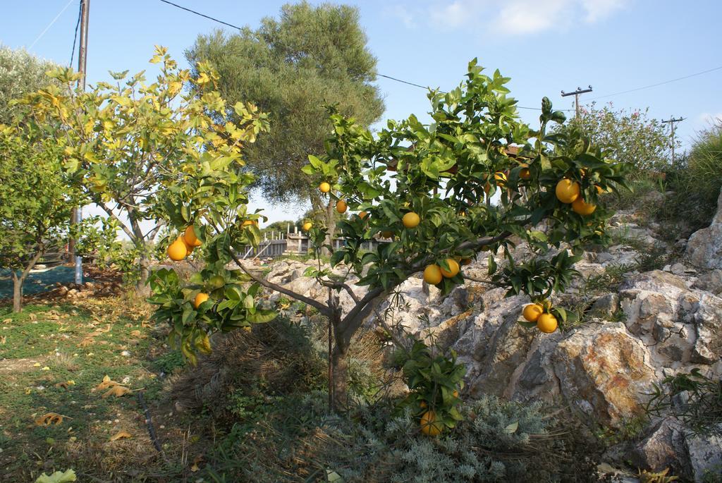 O Ioannis Villa Kritinia ภายนอก รูปภาพ