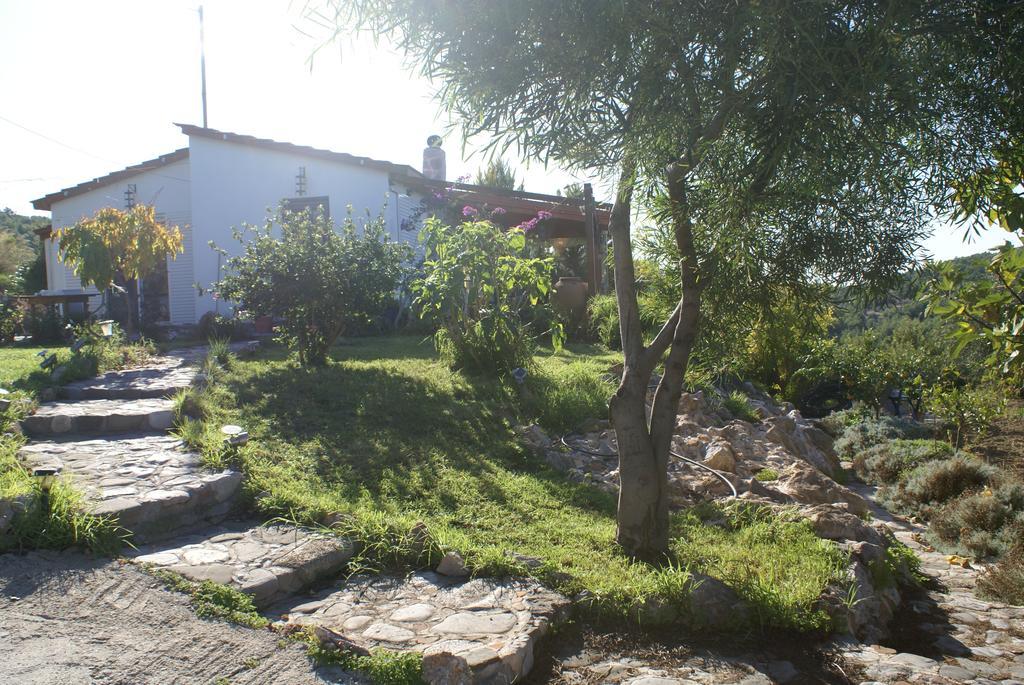 O Ioannis Villa Kritinia ภายนอก รูปภาพ