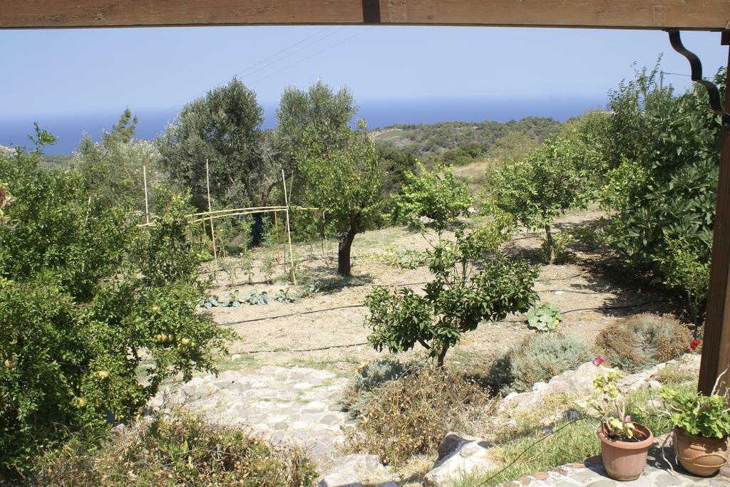 O Ioannis Villa Kritinia ภายนอก รูปภาพ
